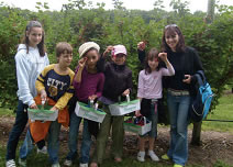 Fruit Picking trip