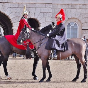 Queen's parade 2015